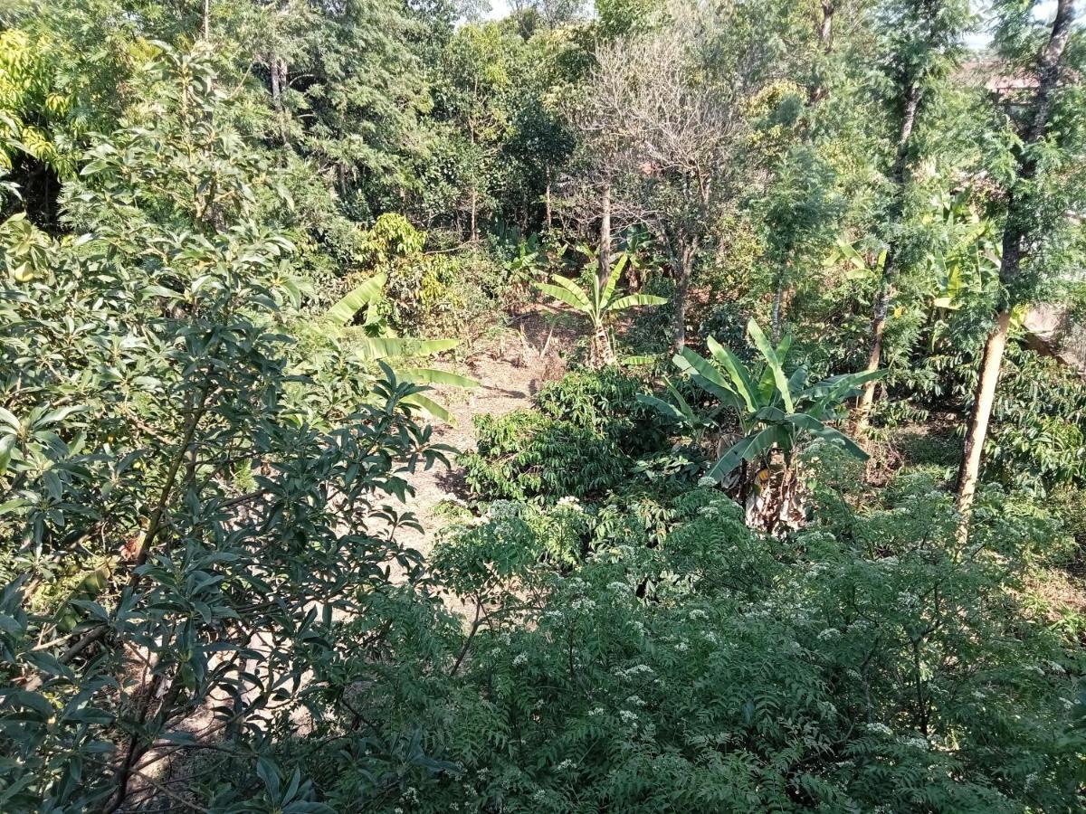 Krupa Homestay Madikeri Buitenkant foto